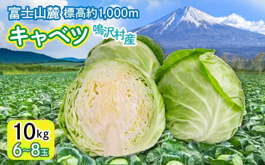 キャベツ 10kg (6〜8玉) NSAK005 | ふるさと納税 キャベツ 新鮮 美味しい シャキシャキ 野菜 山梨県 鳴沢村 送料無料
