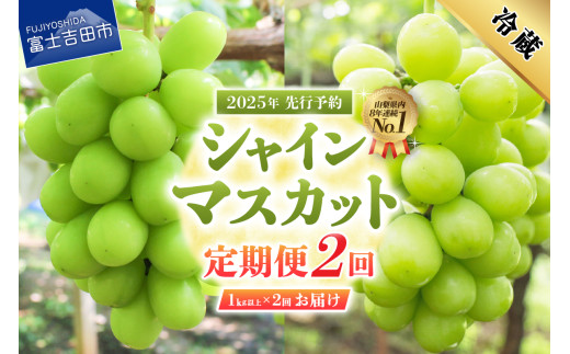 【2025年先行予約】【2回定期便】ジューシーで甘さ抜群 厳選シャインマスカット1kg以上×2回配送 ぶどう 果物 フルーツ 旬 山梨県 2025年 先行予約 山梨 富士吉田市