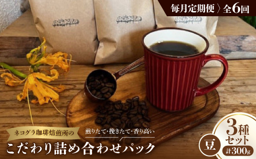 ＜毎月定期便＞《豆3種計300g》ネコグラ珈琲焙煎所の煎りたて挽きたてコーヒーセット全6回【4064361】 2005410 - 大阪府高石市