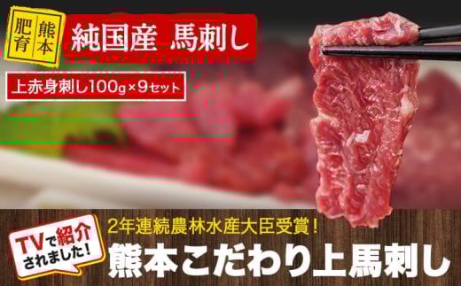 上赤身馬刺し100g×9セット(10ml×9袋)《10月上旬-12月中旬出荷》 熊本県 菊池市 馬刺し 国産 赤身 送料無料 肉 タレ付き 900g 牛肉よりヘルシー  2242440 - 熊本県菊池市