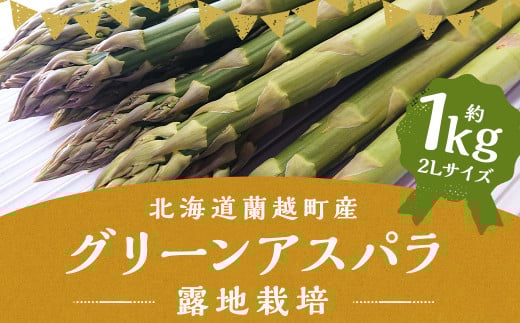 グリーンアスパラ 露地栽培 2L（約1kg相当）【2025年5月下旬～6月上旬発送予定】野菜 アスパラ アスパラガス やさい 2036926 - 北海道蘭越町