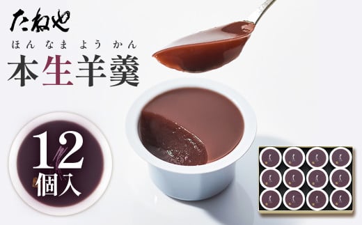 【たねや】本生羊羹 12個入  2025年4月上旬より順次発送 BN10 1966534 - 滋賀県愛荘町
