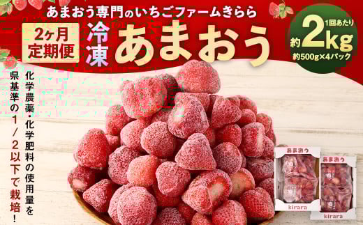 【2カ月定期便】｢いちごファームきらら｣の冷凍あまおう 約2kg×2回 計約4kg 【2025年2月下旬より順次発送】 いちご イチゴ 苺 果物 あまおう 冷凍 1983016 - 福岡県香春町