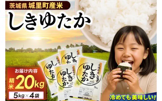 ＜令和6年産＞城里町内・桂農産の＜しきゆたか　精米＞20kg(5kg×4袋) (AX004)