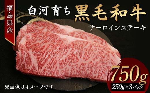 福島県産 白河育ち黒毛和牛 サーロインステーキ750g F24R-083