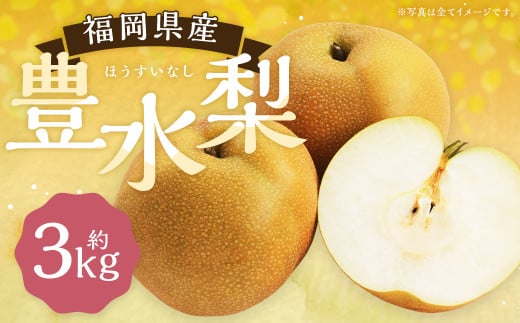  豊水梨 約3kg 5～8玉【2025年8月上旬～9月上旬発送予定】 ナシ 梨 果物 フルーツ 福岡県産