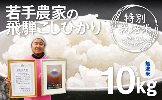 《先行予約》令和8年産【無洗米】特別栽培米 こしひかり 10kg 食味コンクール受賞農家こだわりのお米 池本農園　syun109