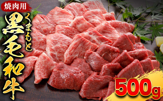 くまもと黒毛和牛 焼肉用 500g 1120345 - 熊本県水上村