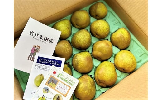 西洋梨(ラ・フランス)5kg 16~20玉 0079-2516 337652 - 山形県上山市