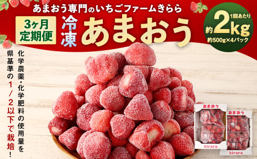 【3カ月定期便】「いちごファームきらら」の冷凍あまおう 約2kg(約500g×4袋) 計約6kg