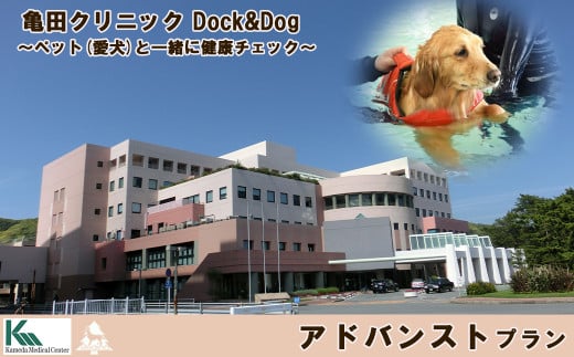 ペット(愛犬)と一緒に健康チェック!人間ドックと宿泊をパッケージにした1泊2日。