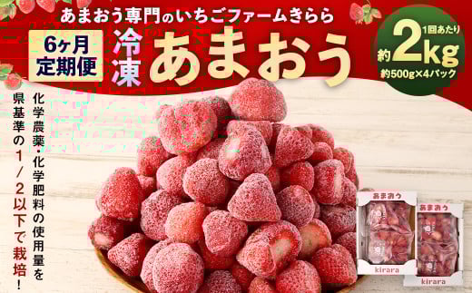 【6カ月定期便】「いちごファームきらら」の冷凍あまおう 約2kg(約500g×4袋) 計約12kg