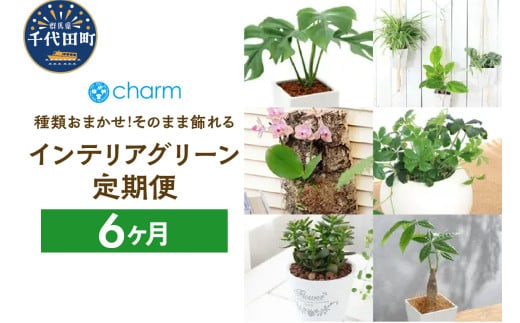 アイテムID:444271の画像1枚目