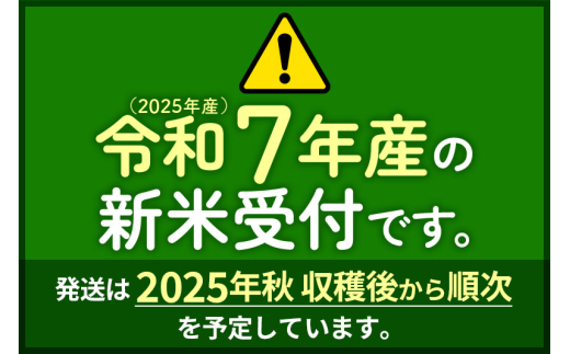 アイテムID:447029の画像2枚目