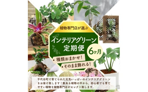 アイテムID:444271の画像2枚目