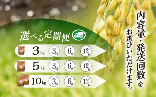 アイテムID:410998の画像2枚目