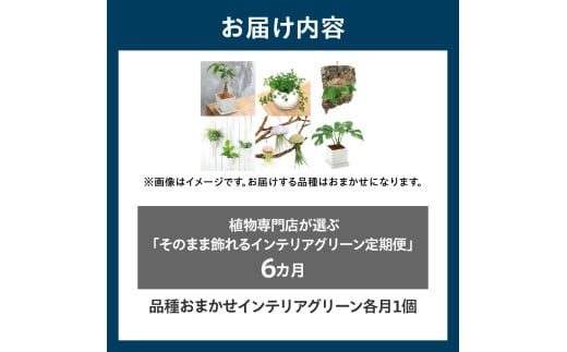 アイテムID:444271の画像3枚目
