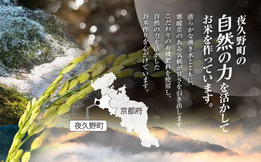 アイテムID:410998の画像3枚目