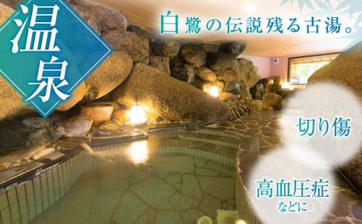 温泉 入浴 温泉利用券 利用券 温泉宿 宿泊券 チケット 旅行クーポン