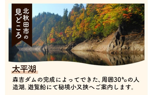 アイテムID:447029の画像5枚目