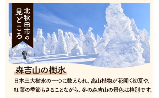 秋田県北秋田市のふるさと納税 ※令和7年産 新米予約※《定期便2ヶ月》秋田県産 あきたこまち 5kg【無洗米】(5kg小分け袋) 2025年産 お届け周期調整可能 隔月に調整OK お米 藤岡農産