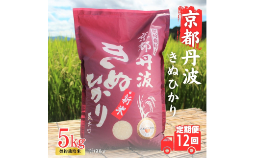 [№5334-0349]【12カ月定期便】令和6年産 京都丹波産 きぬひかり 5kg 合計60kg