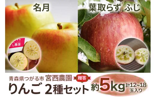 [贈答] 名月×葉取らずふじ【約5kg 計12から18玉入り】贅沢りんご 2種セット｜令和7年 2025年 ギフト 青森産 津軽 つがる りんご リンゴ 果物 フルーツ めいげつ フジ [0686]