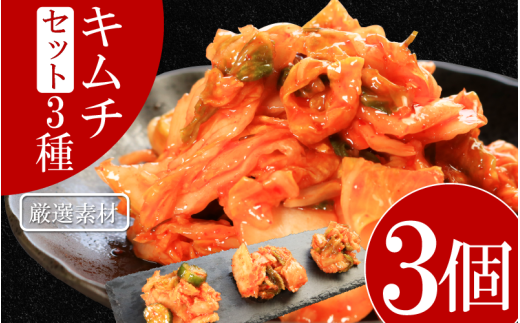キムチ 3種 セット 各1個ずつ 計3個 本格キムチ カッパキムチ 白菜キムチ きゅうりキムチ ピリ辛 おつまみ 食物繊維たっぷり 韓国 乳酸菌 健康 ご飯 お供 旨味 国産野菜 キムチ鍋用 韓国料理 漬物 発酵食品 ダイエット 低カロリー ビビンバ 焼肉 キムチ鍋 鍋 炒め物 料理 徳島県 吉野川市 2097870 - 徳島県吉野川市