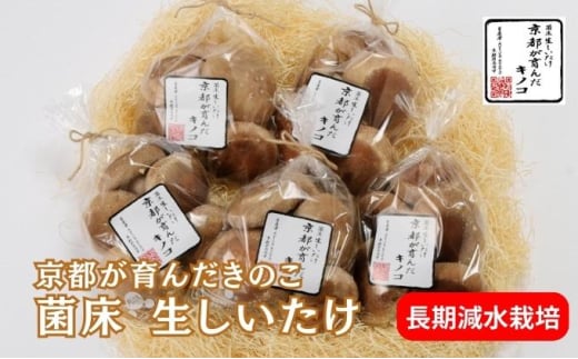 [№5334-0060]しいたけ 京都が育んだきのこ 長期減水栽培 菌床 生しいたけ 特大サイズ 200g 5袋 椎茸 シイタケ きのこ キノコ 野菜 京都  2067773 - 京都府南丹市