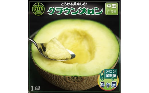 ＜毎月定期便＞クラウンメロン(白等級) 中玉1玉 全3回【4012654】 2068214 - 静岡県掛川市