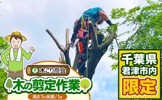 君津市 木の剪定作業(高さ7m未満1本) 木こり商会 | サービス サービス券 剪定 草切 代行サービス 千葉県 君津市 きみつ