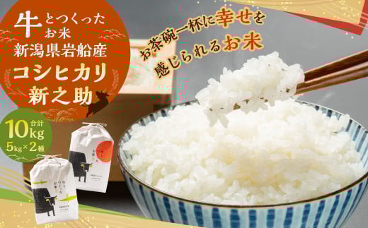 【新米受付・令和7年産米】牛とつくったお米 新潟県村上市岩船産 コシヒカリ 5kg・新之助 5kg 精米 計10kg 1041006N