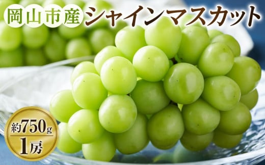 ぶどう 2025年 先行予約 シャインマスカット 1房（約750g） ブドウ 葡萄 岡山市産 国産 フルーツ 果物 ギフトタンポポ農園 2055959 - 岡山県岡山市