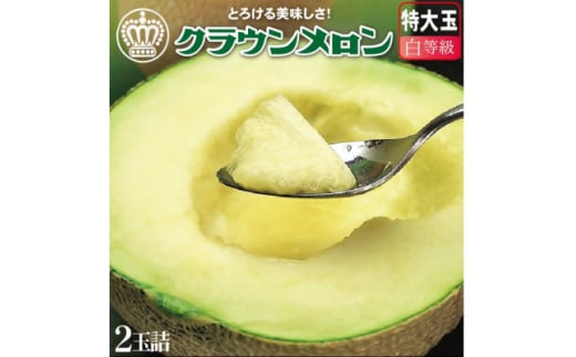 ＜通年出荷＞クラウンメロン(白等級)特大玉　2玉詰【1104735】 2068140 - 静岡県掛川市