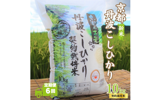 [№5334-0322]【6カ月定期便】令和7年産 新米 京都丹波産 こしひかり 10kg 合計60kg 白米 精米 お米 こめ コメ コシヒカリ 令和7年 ご飯 ごはん 京都 京都府 南丹市 定期便