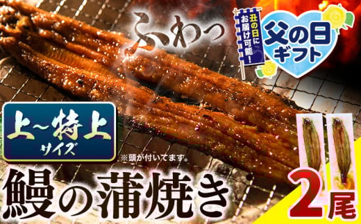 うなぎ 国産 鰻の蒲焼 2尾 上〜特上サイズ[選べる出荷時期)]| うなぎ 蒲焼 国産 うなぎ 小分け うなぎ 国産 うなぎ 父の日 うなぎ 母の日ギフト うなぎ 簡易包装 送料無料 徳島県 上板町
