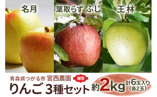 [贈答用] 名月×葉取らずふじ×王林【約2kg 各2玉入り 計6玉】贅沢りんご 3種セット｜令和7年 2025年 ギフト 青森産 津軽 つがる りんご リンゴ 果物 フルーツ めいげつ フジ おうりん [0682]