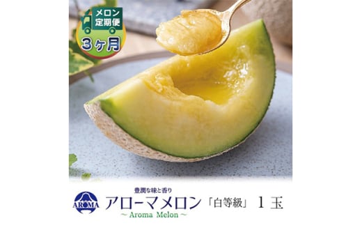 ＜毎月定期便＞アローマメロン(白等級) 1玉 全3回【4013001】 2068224 - 静岡県掛川市