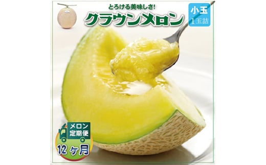 ＜毎月定期便＞クラウンメロン(白等級) 小玉1玉 全12回【4012653】 2068213 - 静岡県掛川市
