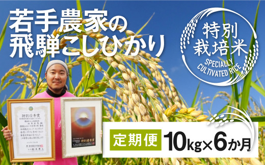 《先行予約》令和8年産 米 定期便 こしひかり 特別栽培米 10kg×6か月 合計60kg 若手受賞農家 池本農園 こだわりのお米