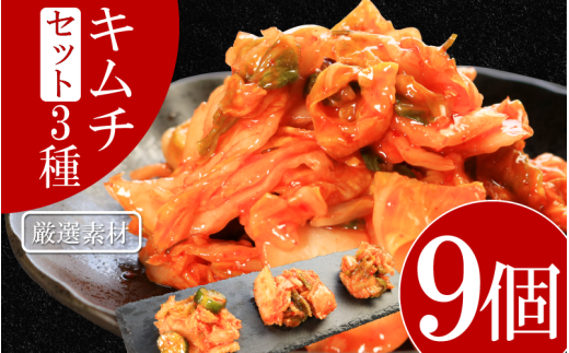キムチ 3種 セット 各3個ずつ 計9個 本格キムチ カッパキムチ 白菜キムチ きゅうりキムチ ピリ辛 おつまみ 食物繊維たっぷり 韓国 乳酸菌 健康 ご飯 お供 旨味 国産野菜 キムチ鍋用 韓国料理 漬物 発酵食品 ダイエット 低カロリー ビビンバ 焼肉 キムチ鍋 鍋 炒め物 料理 徳島県 吉野川市 2097872 - 徳島県吉野川市