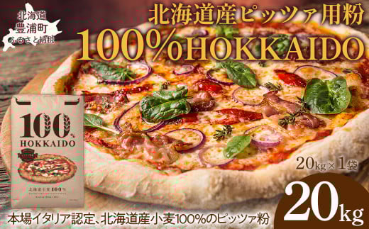 100% HOKKAIDO ピッツァ用粉 20kg 【 ふるさと納税 人気 おすすめ ランキング 小麦粉 パン ピザ ピッツァ 国産 北海道 HOKKAIDO 自宅用 江別製粉 北海道 豊浦町 送料無料 】 TYUAI026