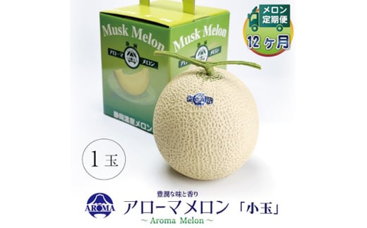 ＜毎月定期便＞アローマメロン(小玉) 1玉 全12回【4013009】 2068231 - 静岡県掛川市
