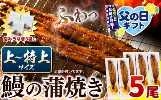 【 父の日予約受付中！ 】 うなぎ 丑の日配送 鰻の蒲焼 発送時期が選べる 5尾 ＋ きざみうなぎ 3袋 たれ・山椒のセット《6月上旬-6月中旬頃出荷》 鰻 鰻の蒲焼き 高級 蒲焼 国産 選べる 発送時期 土用の丑の日 ウナギ 刻みうなぎ 父の日 送料無料 徳島県 上板町