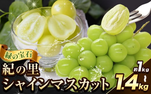 [ふるさと納税][先行予約]シャインマスカット 紀の里 選べる内容量 約1kg 約1.2kg 約1.4kg 2房 [2025年8月下旬-2025年10月中旬頃出荷]和歌山県 紀の川市 シャイン マスカット 贈答 ギフト 人気 期間限定 ぶどう ブドウ 葡萄 先行予約 旬 果物 フルーツ 送料無料 st-p