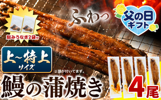 〈スピード出荷〉うなぎ 国産 鰻の蒲焼 4尾 + きざみうなぎ 30g×2袋 上～特上サイズ《3-7営業日以内に出荷(土日祝除く)》| うなぎ 蒲焼 国産 うなぎ 小分け うなぎ 国産 うなぎ 父の日 うなぎ 母の日ギフト うなぎ 簡易包装 送料無料 徳島県 上板町 1356678 - 徳島県上板町