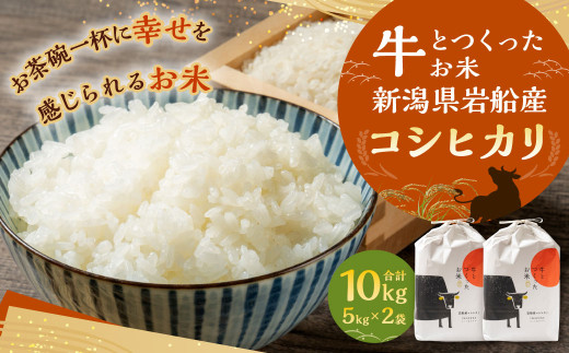 【新米受付・令和7年産米】牛とつくったお米 新潟県村上市岩船産 コシヒカリ 精米 10kg 1041005N 2270985 - 新潟県村上市