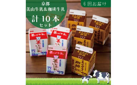 [№5334-0098]牛乳 定期便 6ヶ月 京都 美山牛乳 200ml ×5本 珈琲牛乳 ×5本 詰め合わせ セット 美山町 お取り寄せ コーヒー牛乳 パック 紙パック 200mL 定期 お楽しみ 6回 ※北海道・沖縄・離島への発送不可  2067811 - 京都府南丹市