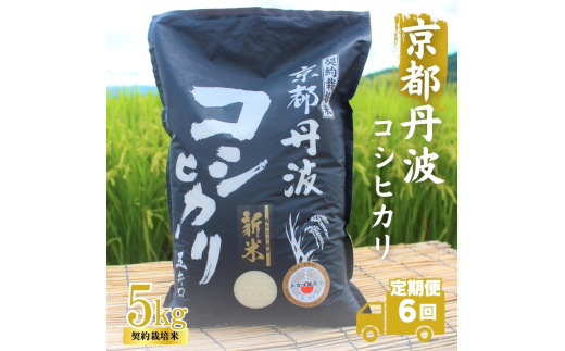 [№5334-0319]【6カ月定期便】令和6年産 京都丹波産 こしひかり 5kg 合計30kg