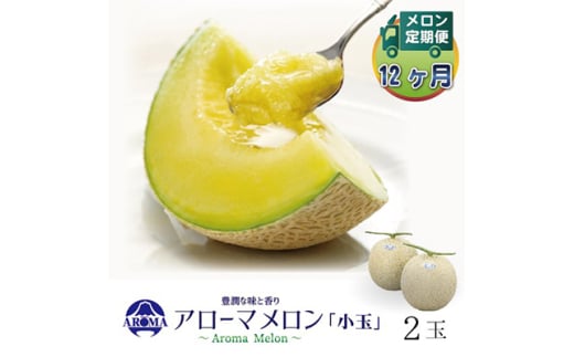 ＜毎月定期便＞アローマメロン(小玉) 2玉 全12回【4013012】 2068234 - 静岡県掛川市
